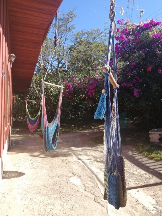 Pension Y Cabinas Colibri B&B Costa Rica Monteverde Eksteriør bilde