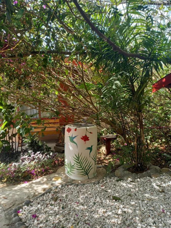 Pension Y Cabinas Colibri B&B Costa Rica Monteverde Eksteriør bilde