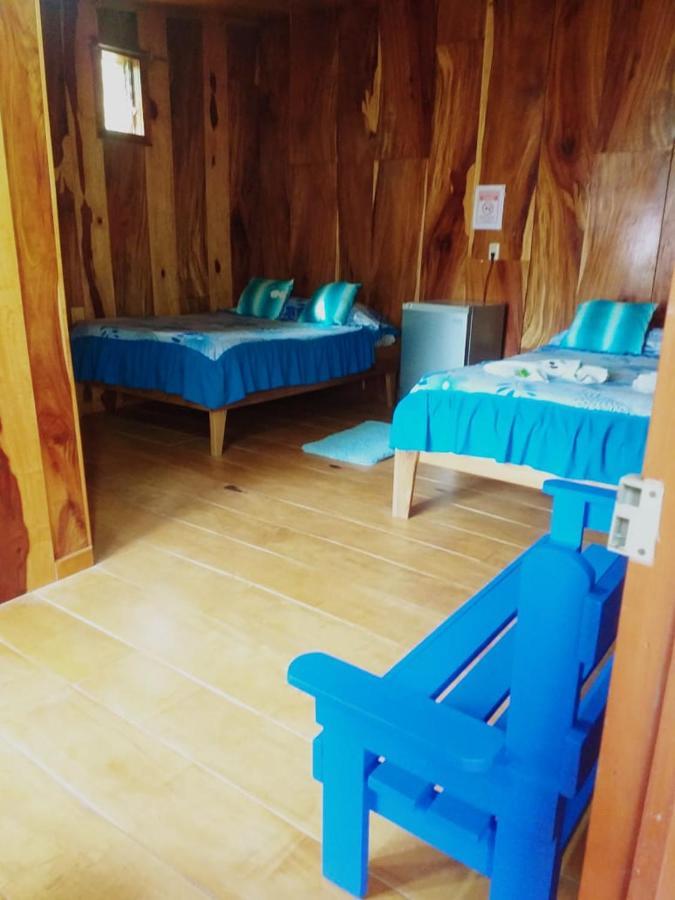 Pension Y Cabinas Colibri B&B Costa Rica Monteverde Eksteriør bilde