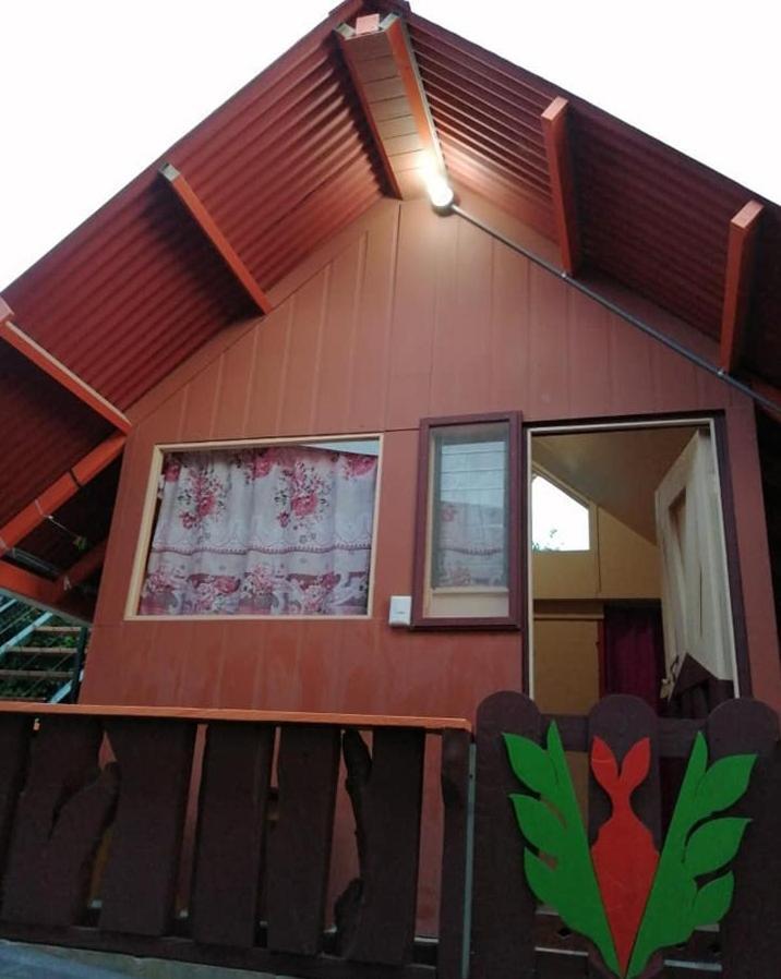 Pension Y Cabinas Colibri B&B Costa Rica Monteverde Eksteriør bilde