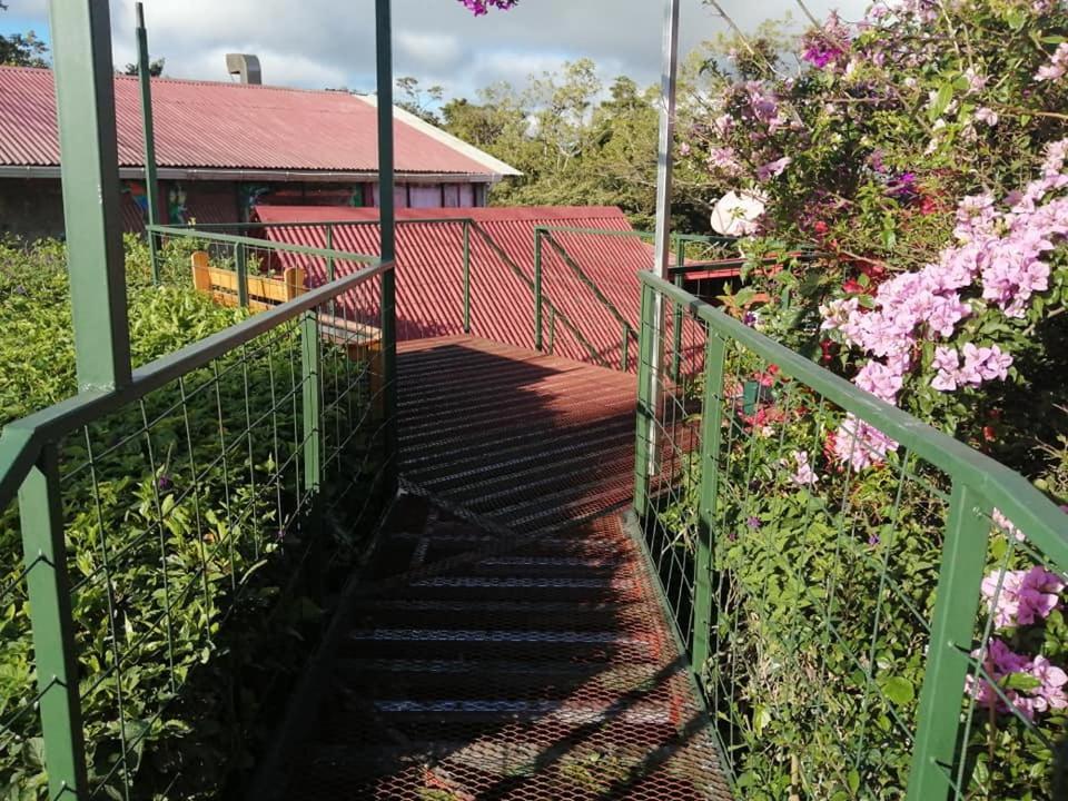 Pension Y Cabinas Colibri B&B Costa Rica Monteverde Eksteriør bilde