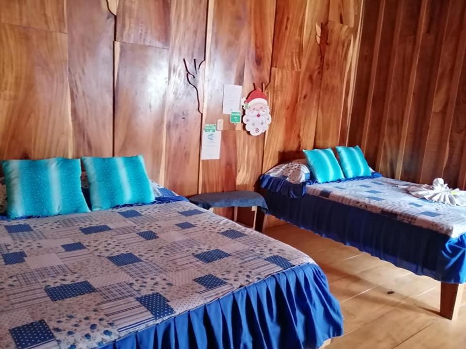 Pension Y Cabinas Colibri B&B Costa Rica Monteverde Eksteriør bilde